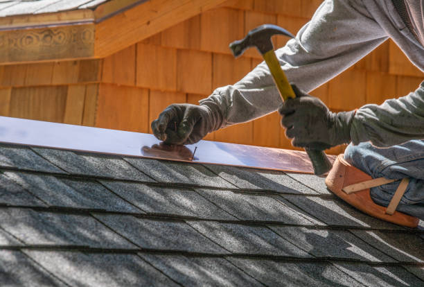 Best Chimney Flashing Repair  in Long Neck, DE