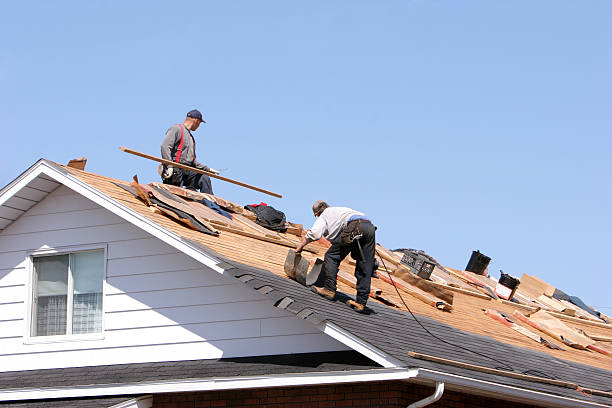 Best Gutter Installation and Repair  in Long Neck, DE